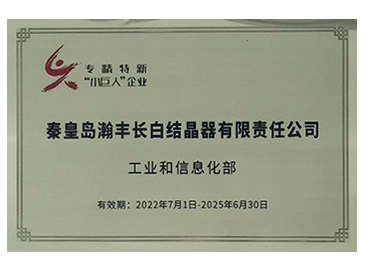 专精特新小巨人